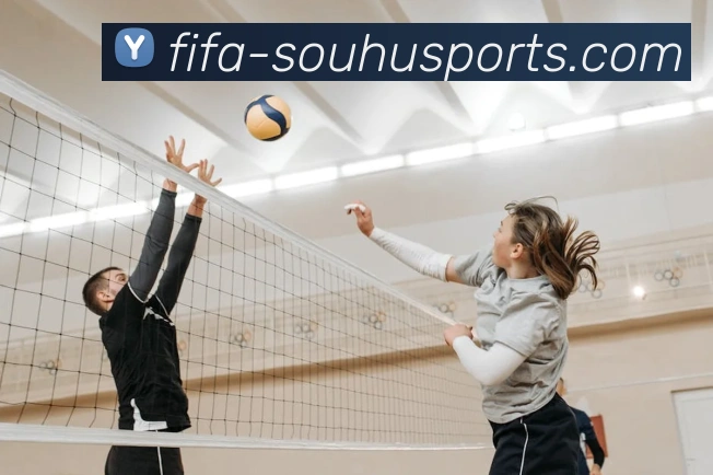 搜狐体育APP 封面图