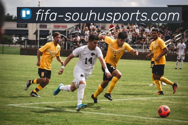 数据防护可视化